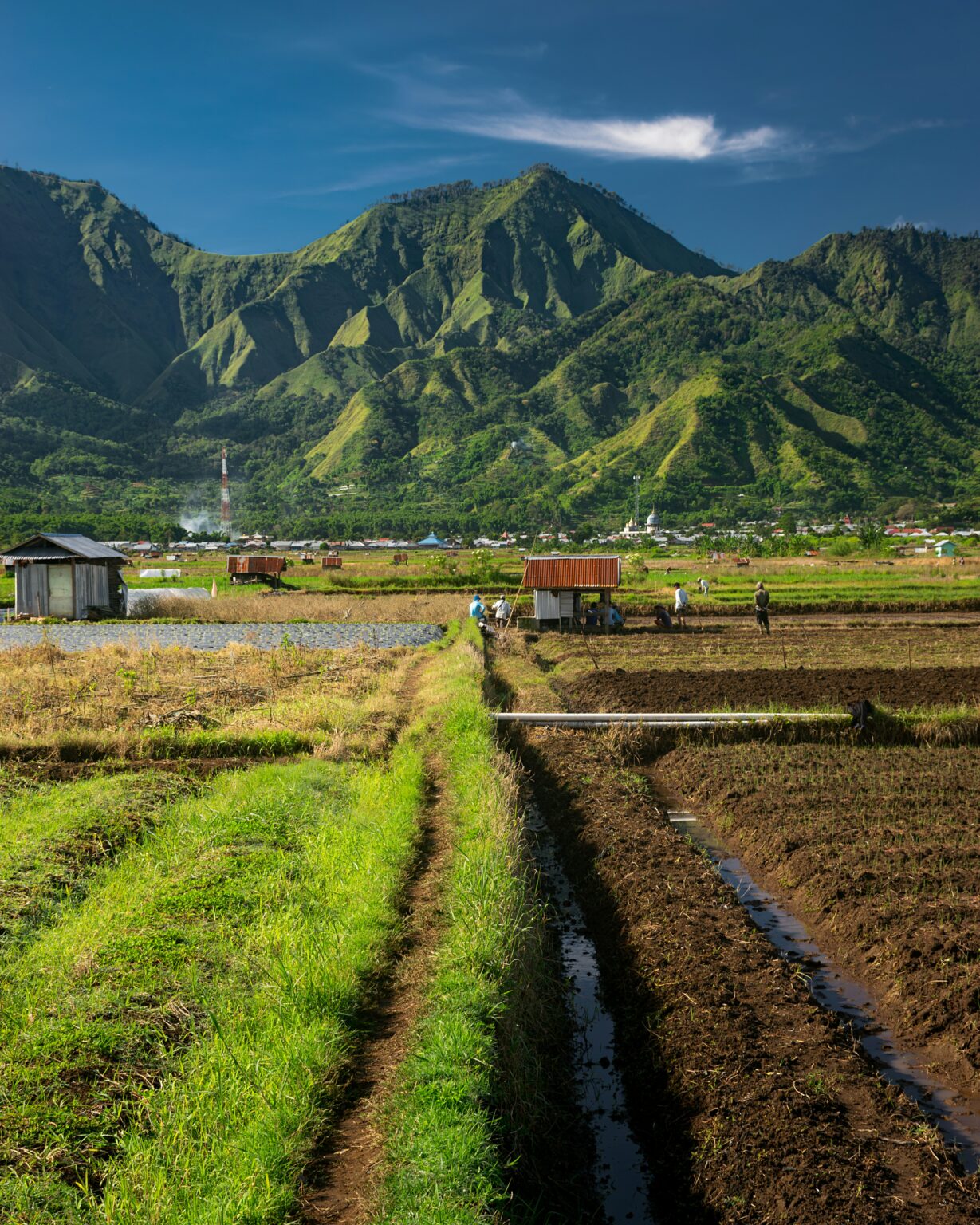 雄大な山々に囲まれた田畑と、農作業をする人々の風景
